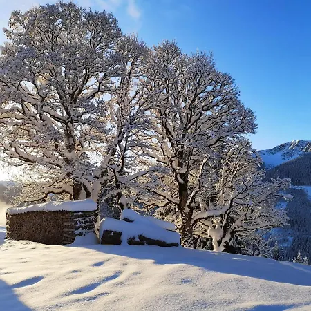 Alpehytte Sinnlehen Alm Saalbach-Hinterglemm