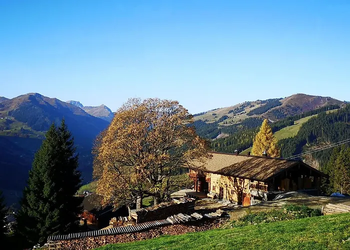Sinnlehen Alm Saalbach-Hinterglemm