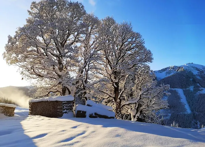 Alpehytte Sinnlehen Alm Saalbach-Hinterglemm