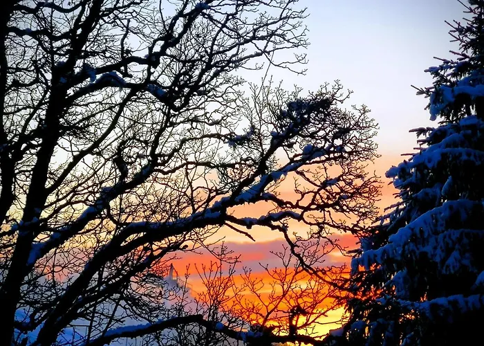 Sinnlehen Alm Saalbach-Hinterglemm