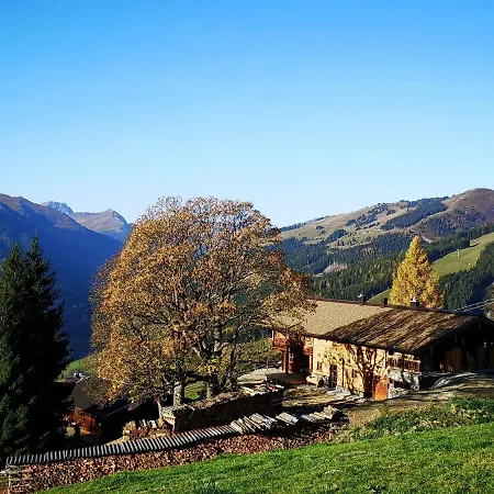 Sinnlehen Alm Saalbach-Hinterglemm
