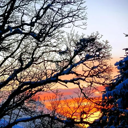 Sinnlehen Alm Saalbach-Hinterglemm