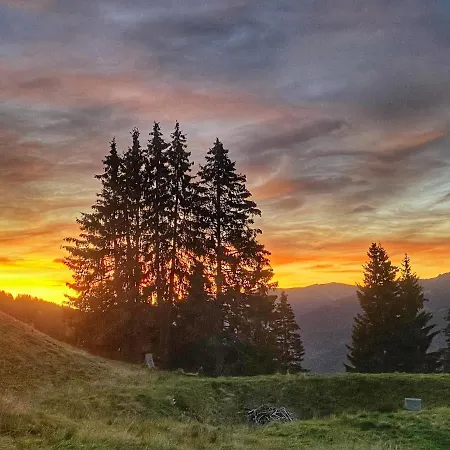 Chalet Sinnlehen Alm Saalbach-Hinterglemm